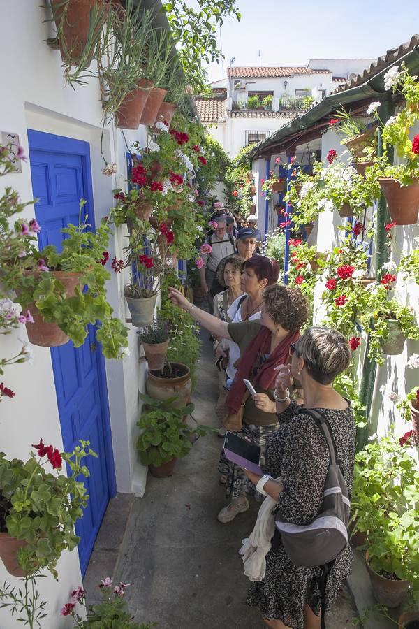 Un domingo de sol y colas en los Patios de Córdoba de 2017