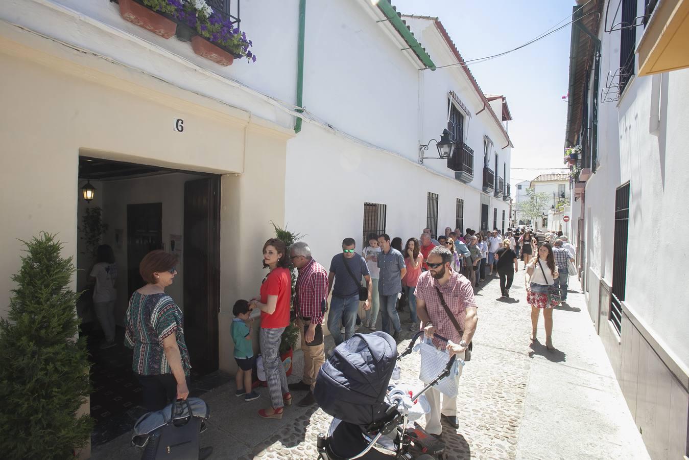 Un domingo de sol y colas en los Patios de Córdoba de 2017