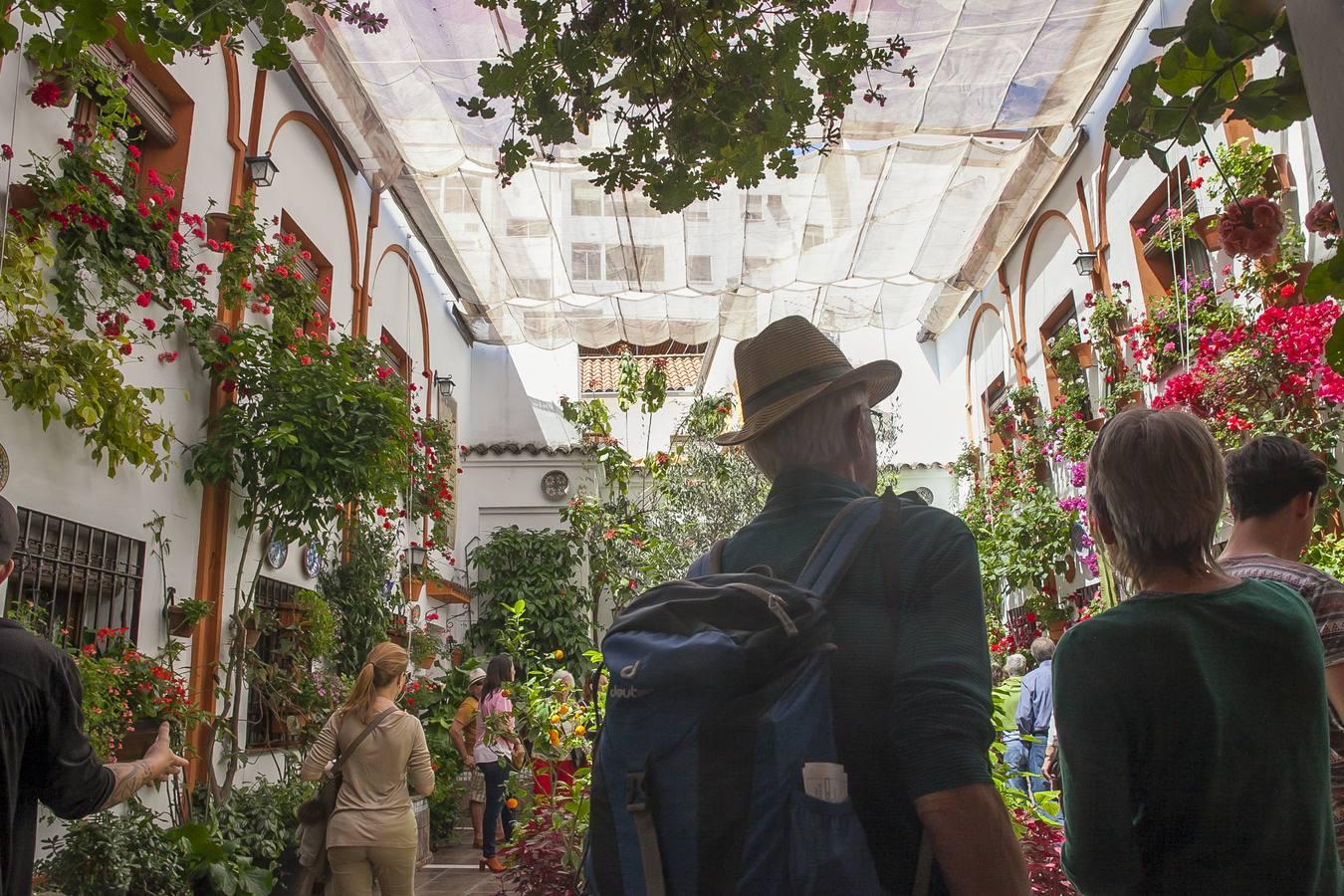 Un domingo de sol y colas en los Patios de Córdoba de 2017