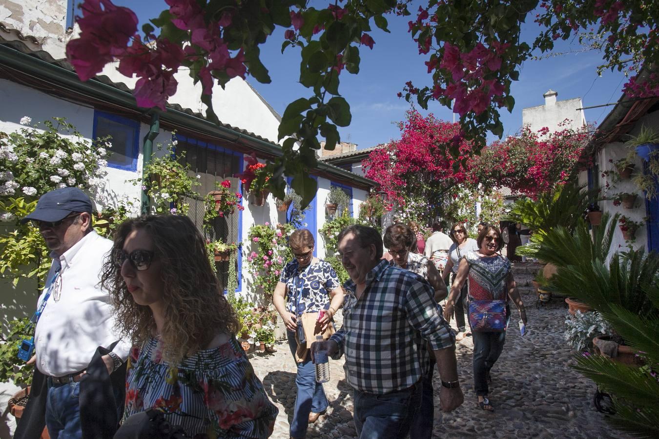 Un domingo de sol y colas en los Patios de Córdoba de 2017