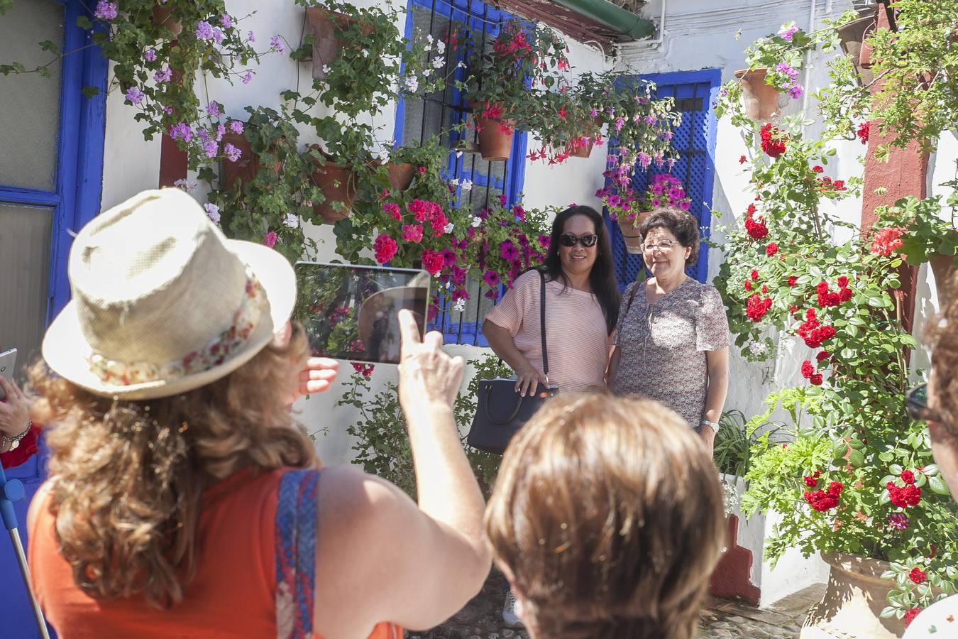 Un domingo de sol y colas en los Patios de Córdoba de 2017