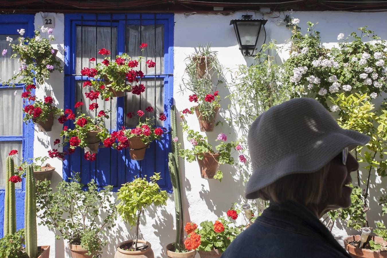 Un domingo de sol y colas en los Patios de Córdoba de 2017