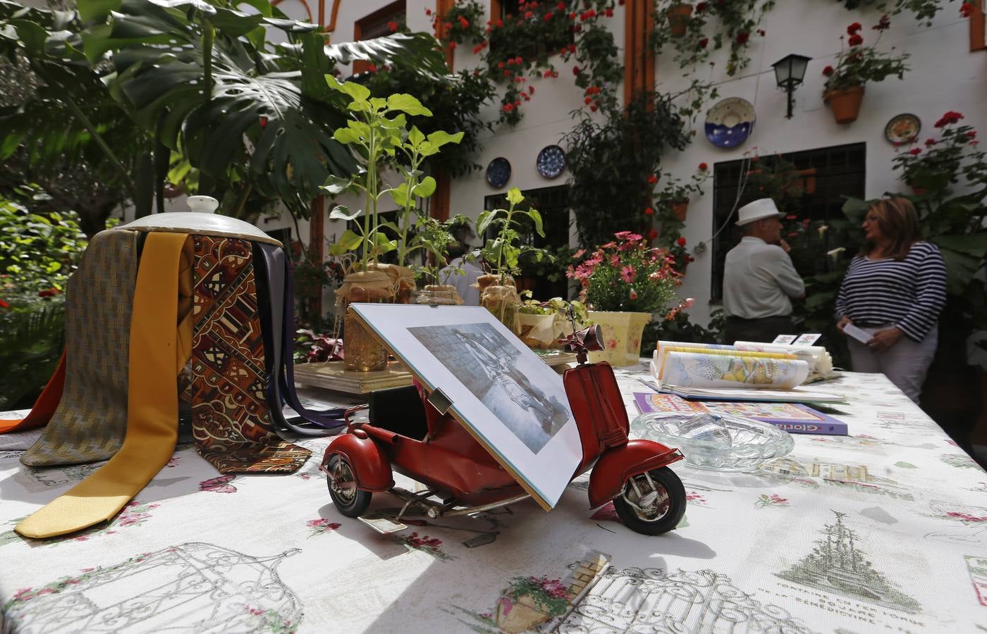 Patios ganadores del Concurso de Córdoba 2017, en imágenes