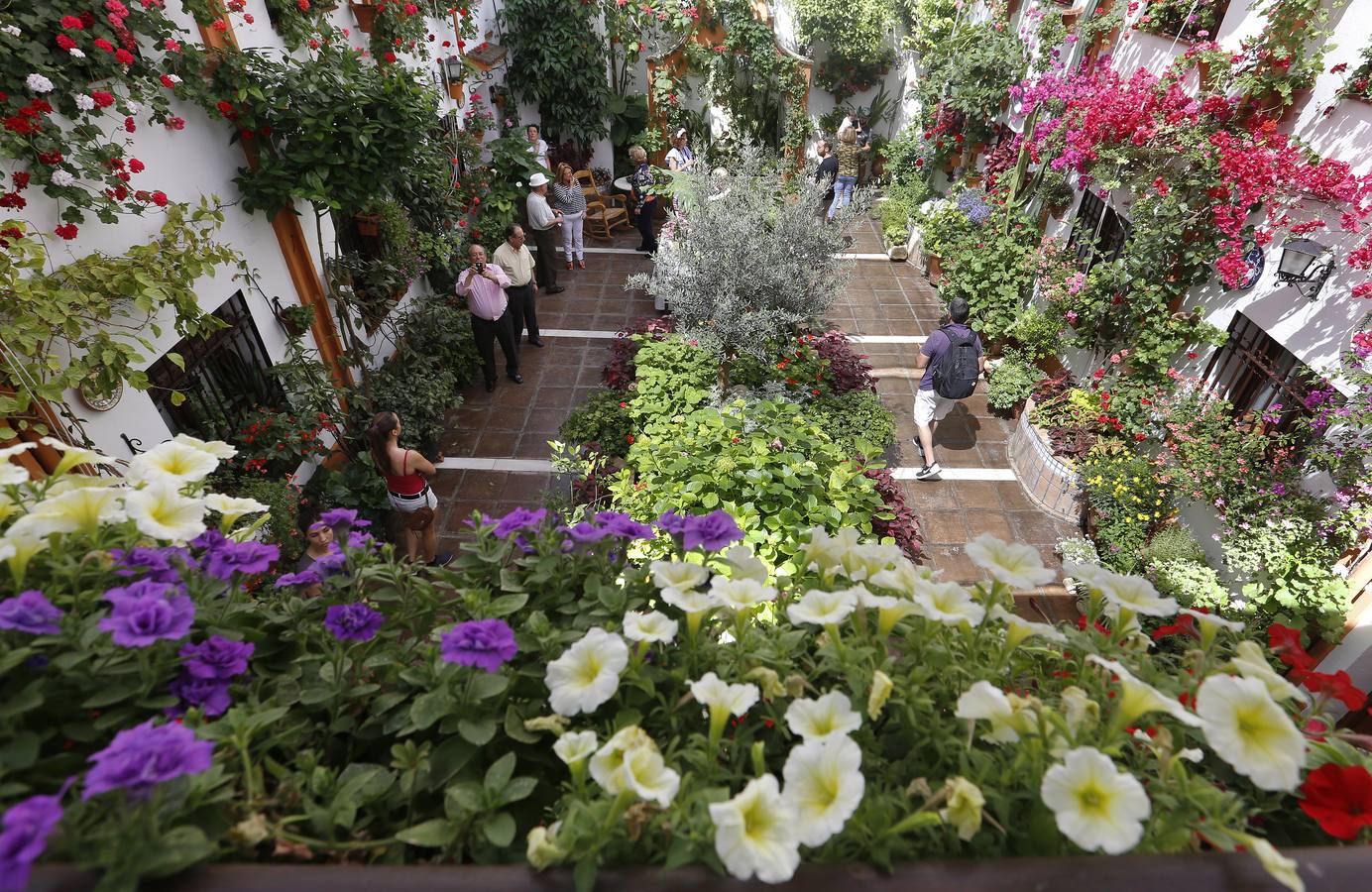 Patios ganadores del Concurso de Córdoba 2017, en imágenes