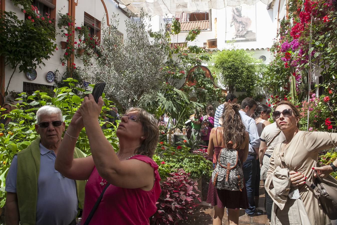 Patios ganadores del Concurso de Córdoba 2017, en imágenes