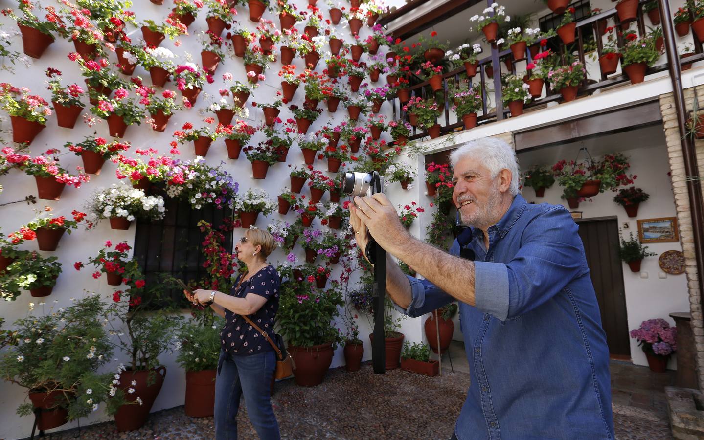 Patios ganadores del Concurso de Córdoba 2017, en imágenes