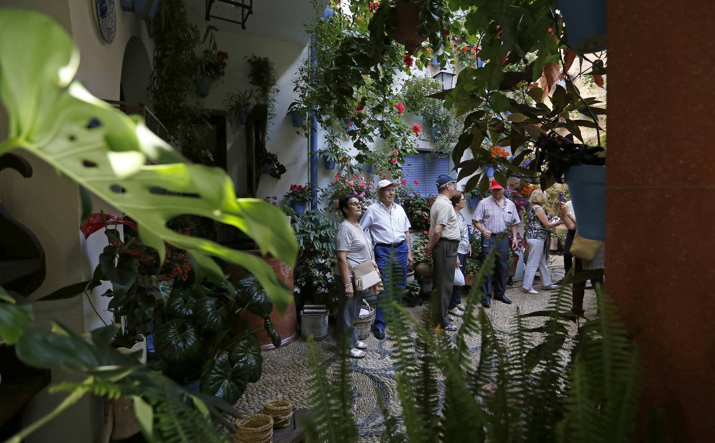 Patios ganadores del Concurso de Córdoba 2017, en imágenes