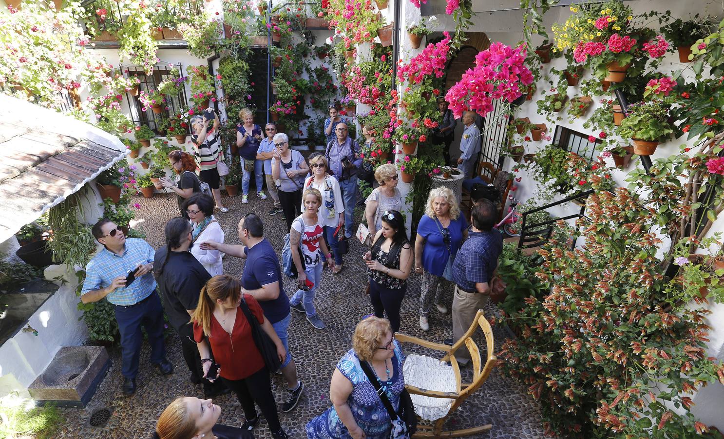 Patios ganadores del Concurso de Córdoba 2017, en imágenes