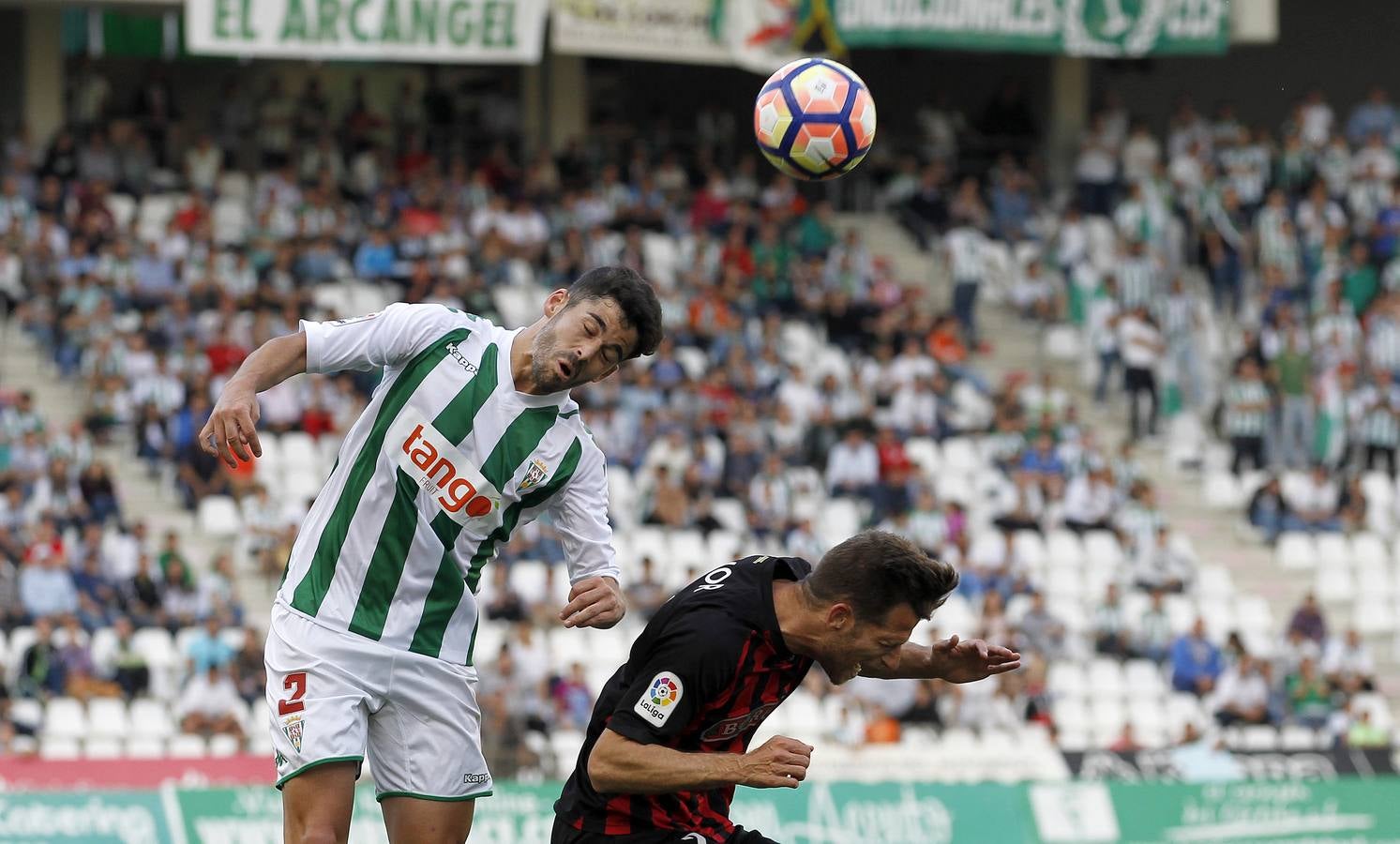 La victoria del Córdoba ante el Reus, en imágenes