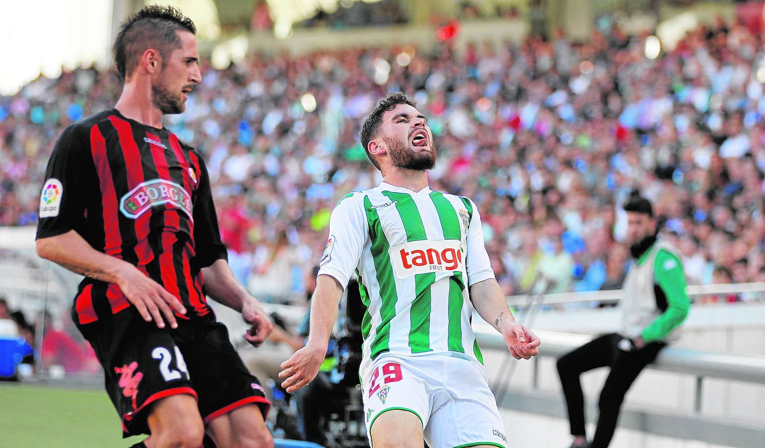 La victoria del Córdoba ante el Reus, en imágenes