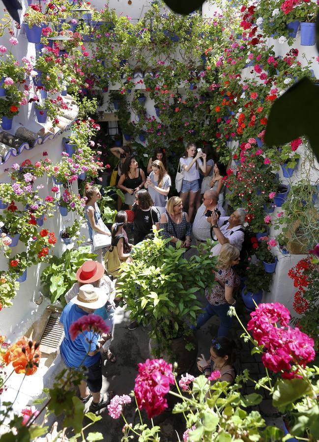 Los «Patios Singulares» de Córdoba 2017, en imágenes