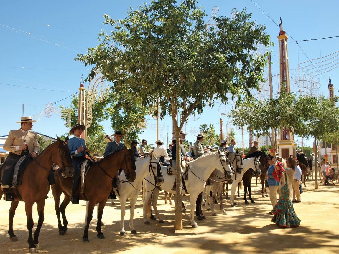 Ambiente de caballos en la feria. 
