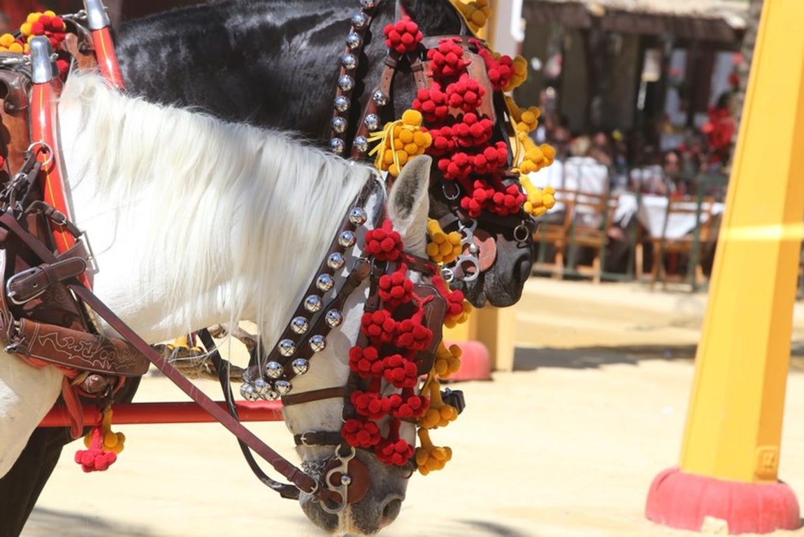 ¿Has estado en la Feria de Jerez? Búscate en la galería
