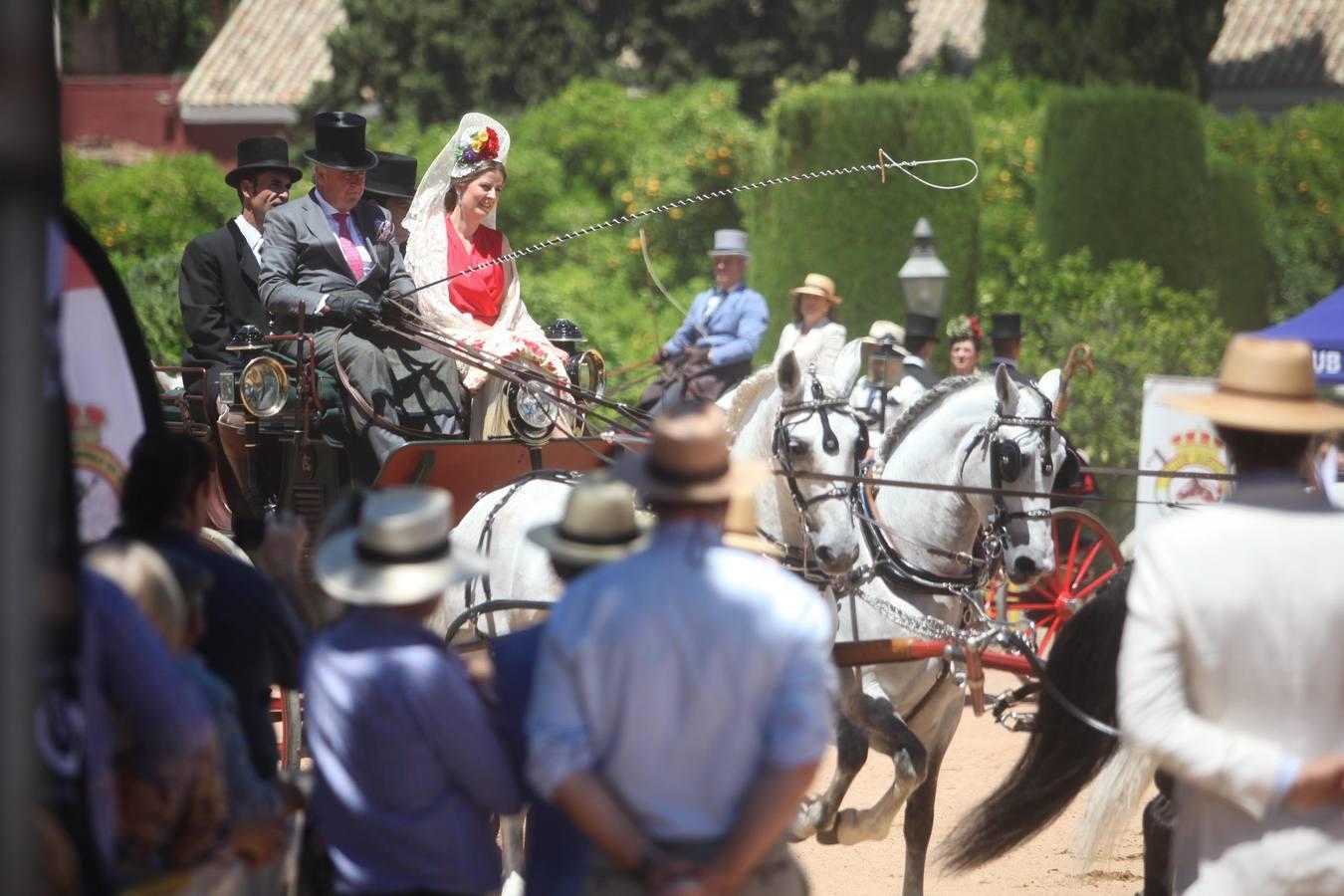 La Exhibición de Carruajes de Tradición, en imágenes