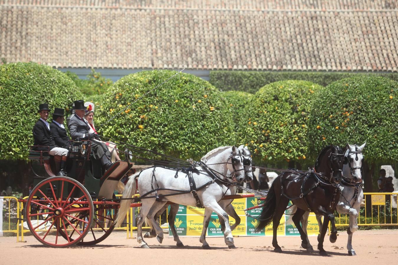 La Exhibición de Carruajes de Tradición, en imágenes