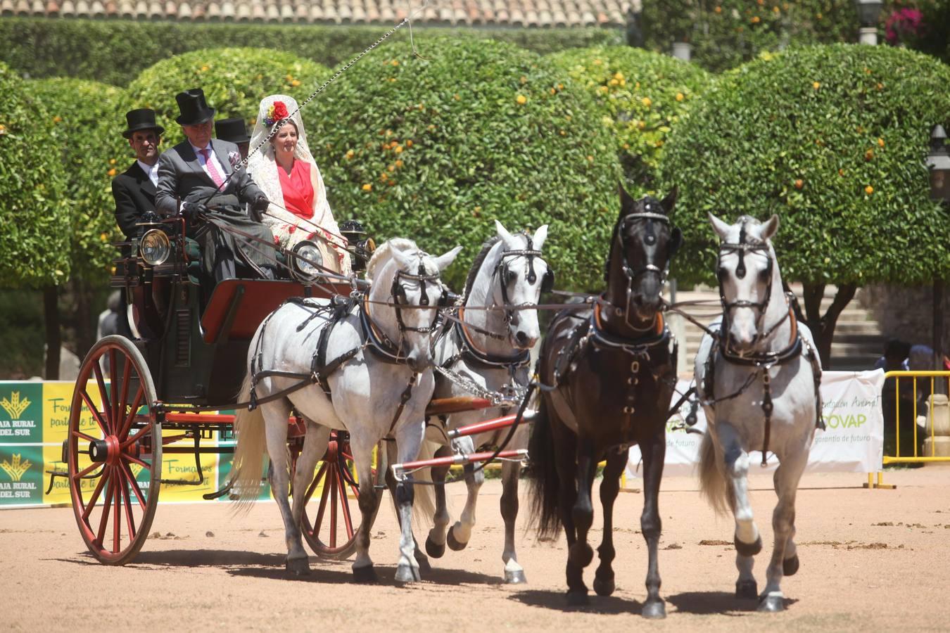 La Exhibición de Carruajes de Tradición, en imágenes