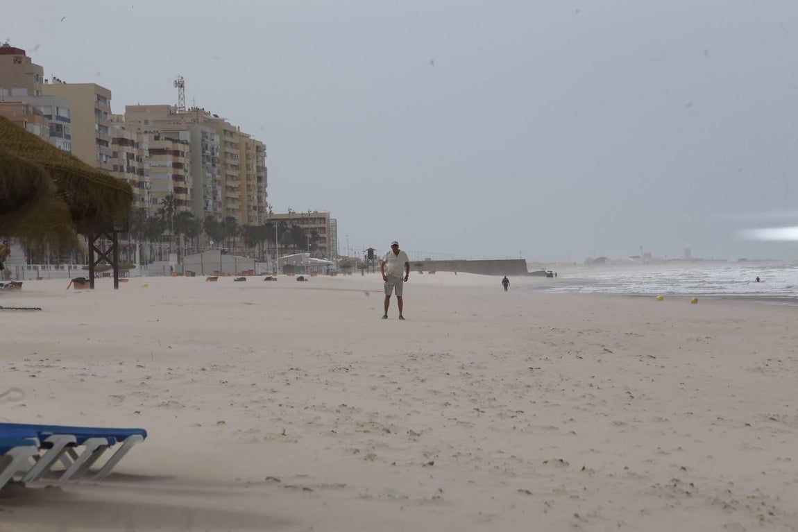 Temporal de viento en la playa. 
