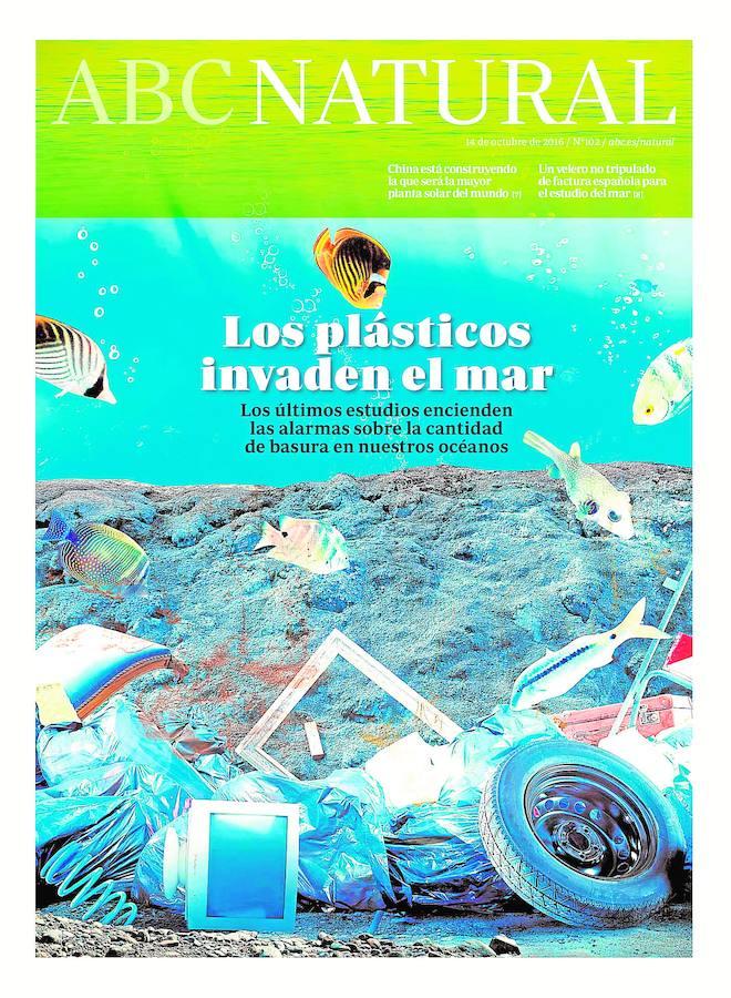 La invasión de los plásticos. La contaminación es uno de los mayores problemas que están padeciendo nuestros mares. Unos 8 millones de toneladas de residuos plásticos terminan en los océanos del mundo cada año, aunque esta cantidad podría aumentar diez veces en la próxima década a menos que la comunidad internacional mejore sus prácticas de gestión de residuos. Esta cantidad podría cubrir 34 veces el área de la isla de Manhattan. O más gráficamente si cabe: 8 millones de toneladas es el quivalente a que en cada 30 centímetros de costa de los 192 países países con costa en el Atlántico, el Pacífico, el Índico, el Mediterráneo y el mar Negro hubiera cinco bolsas de supermercado llenas de residuos plásticos. El tema preocupa porque los plásticos pueden estar siendo ingeridos por los organismos marinos, algo particularmente importante porque los impactos de la contaminación por plástico se podrían extender a toda la red trófica marina a gran escala.