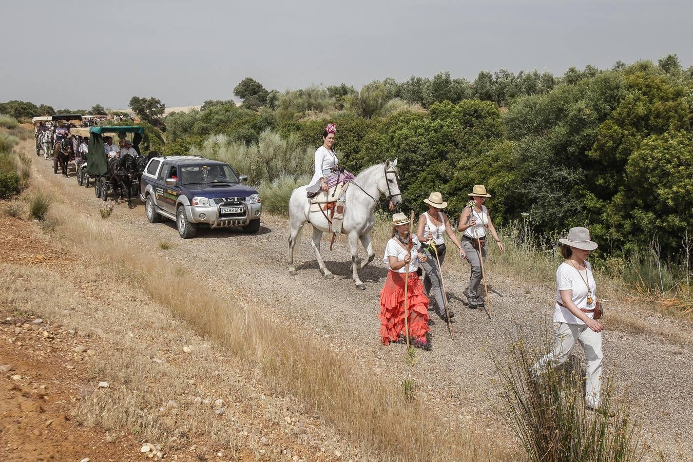 El camino al Rocío de la hermandad de Córdoba, en imágenes