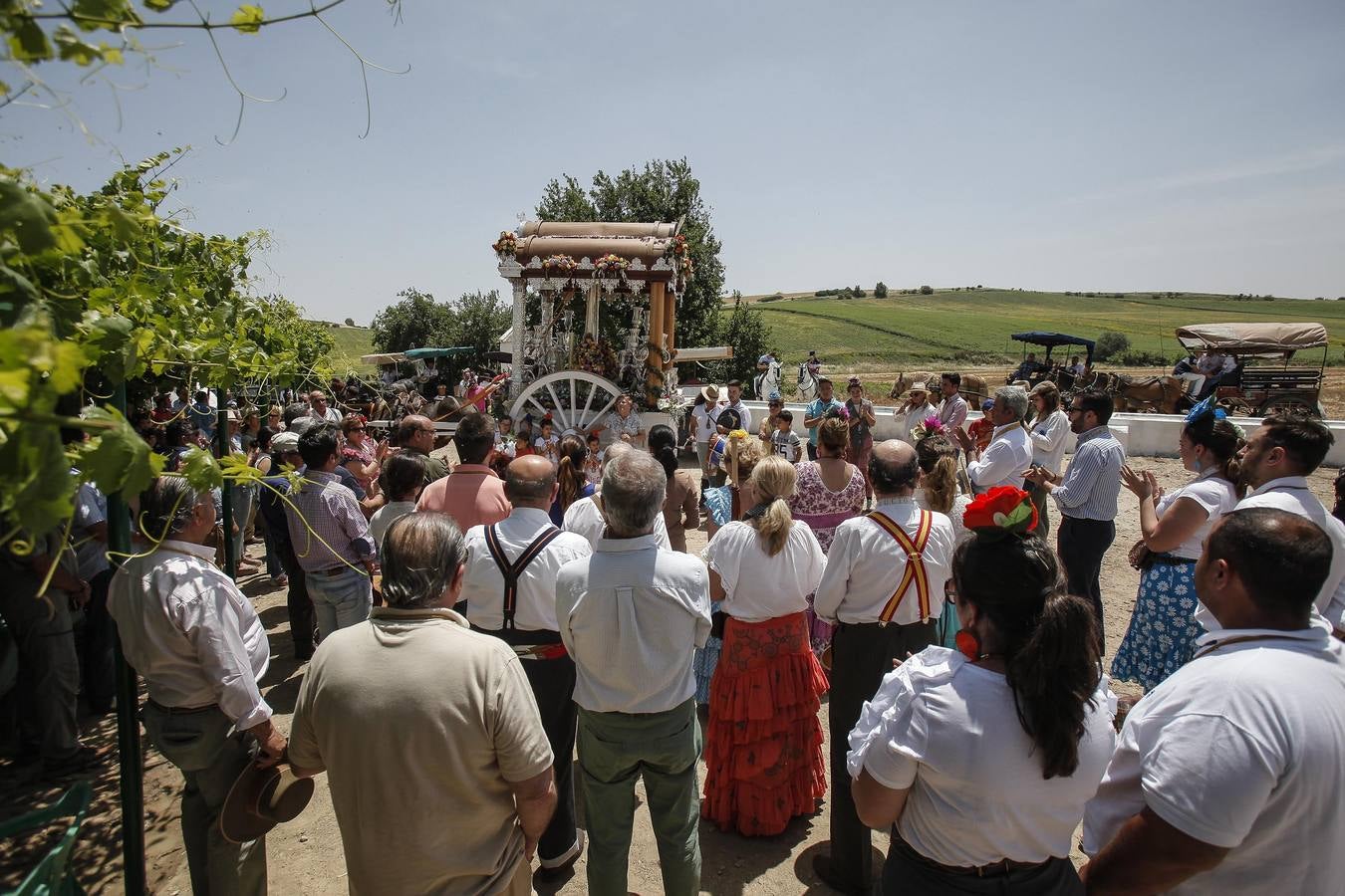 El camino al Rocío de la hermandad de Córdoba, en imágenes