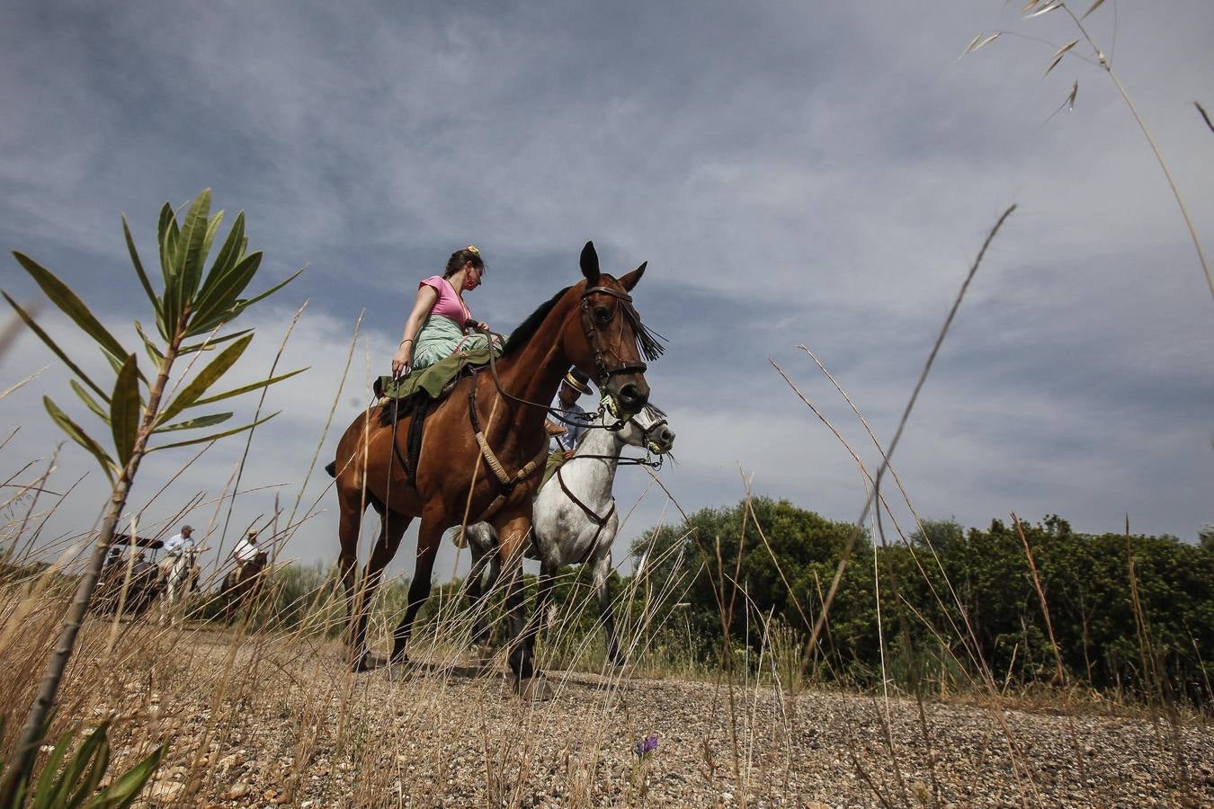 El camino al Rocío de la hermandad de Córdoba, en imágenes