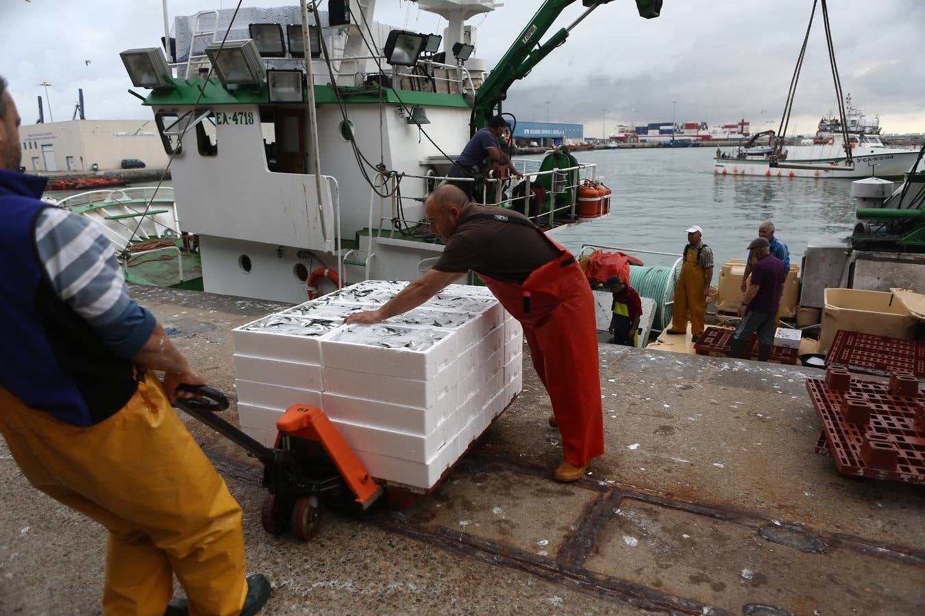 La lonja de Cádiz, en imágenes: descarga y clasificación del pescado en el muelle