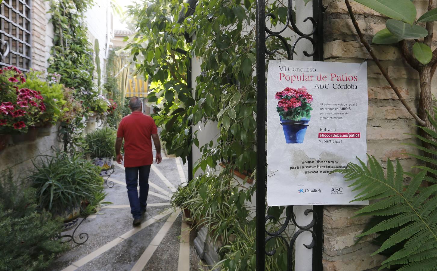 Así es el patio que ha ganado el Concurso Popular de ABC Córdoba