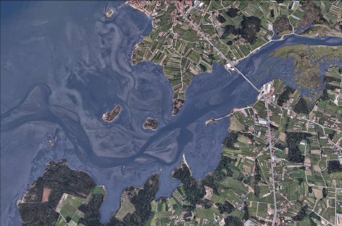 As Quintans (Pontevedra). 