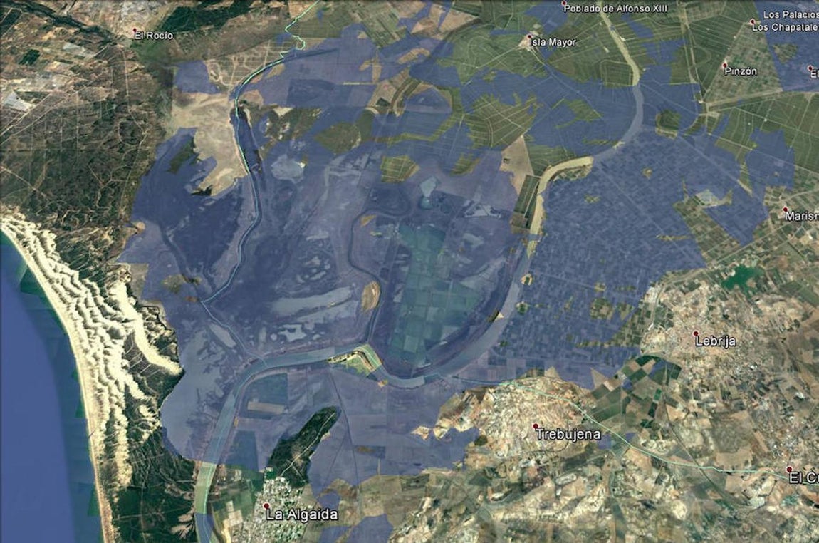 Parque Nacional de Doñana (Huelva). 