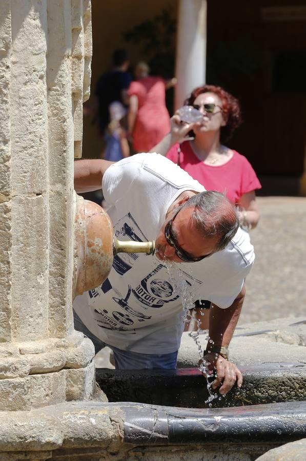 Las mejores imágenes de una dura jornada de calor en Córdoba