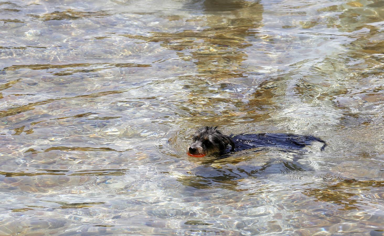 Las mejores imágenes de una dura jornada de calor en Córdoba