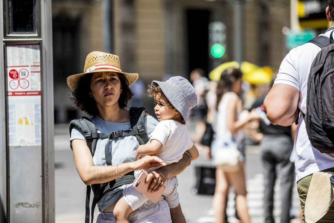 El tiempo en Valencia: las imágenes de la ola de calor. 