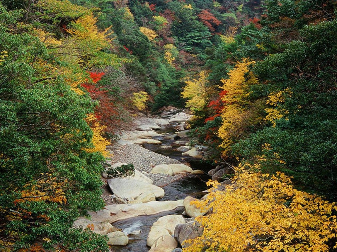 Sobo, Katamuki y Okue (Japón). Este sitio forma parte del macizo montañoso de Sobo-Katamuki- Okue y se caracterizapor la presencia de elevaciones abruptas. Los bosques cubren el 85% de las 243.672hectáreas de la reserva, que es un lugar de gran importancia para la biodiversidad de laregión. La población del sitio no excede los 100.000 habitantes y obtiene sus medios desubsistencia gracias a la agricultura o la explotación de recursos forestales (producciónde madera y carbón, cultivo del champiñón “shiitake”, etc.).