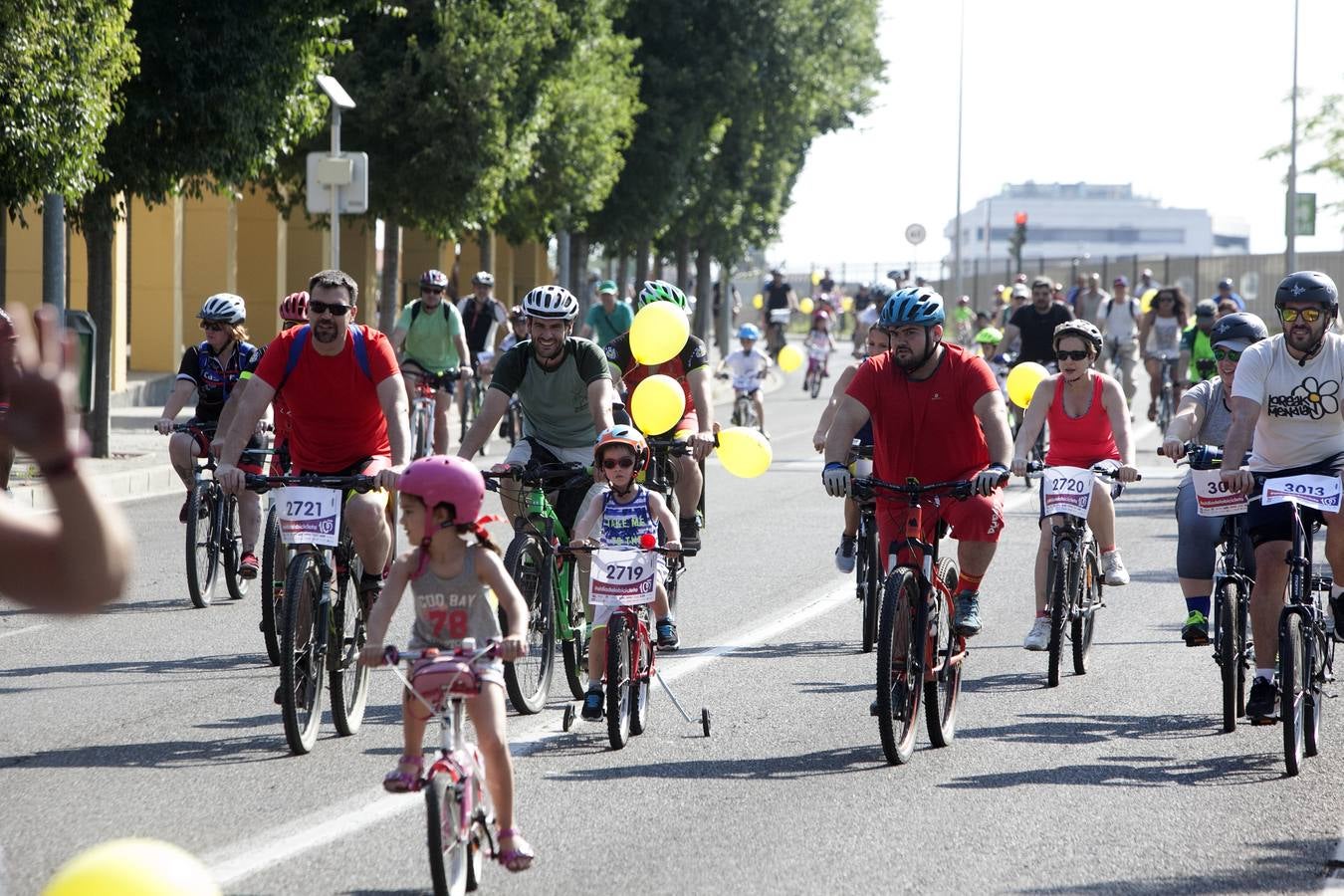 El Día de la Bicicleta de Córdoba, en imágenes