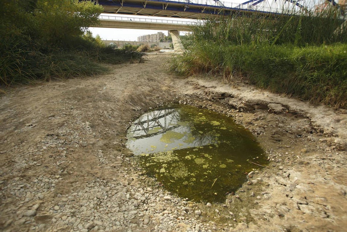 Imagen en la que puede verse el espectacular estado del cauce del Ebro a su paso por Zaragoza. 