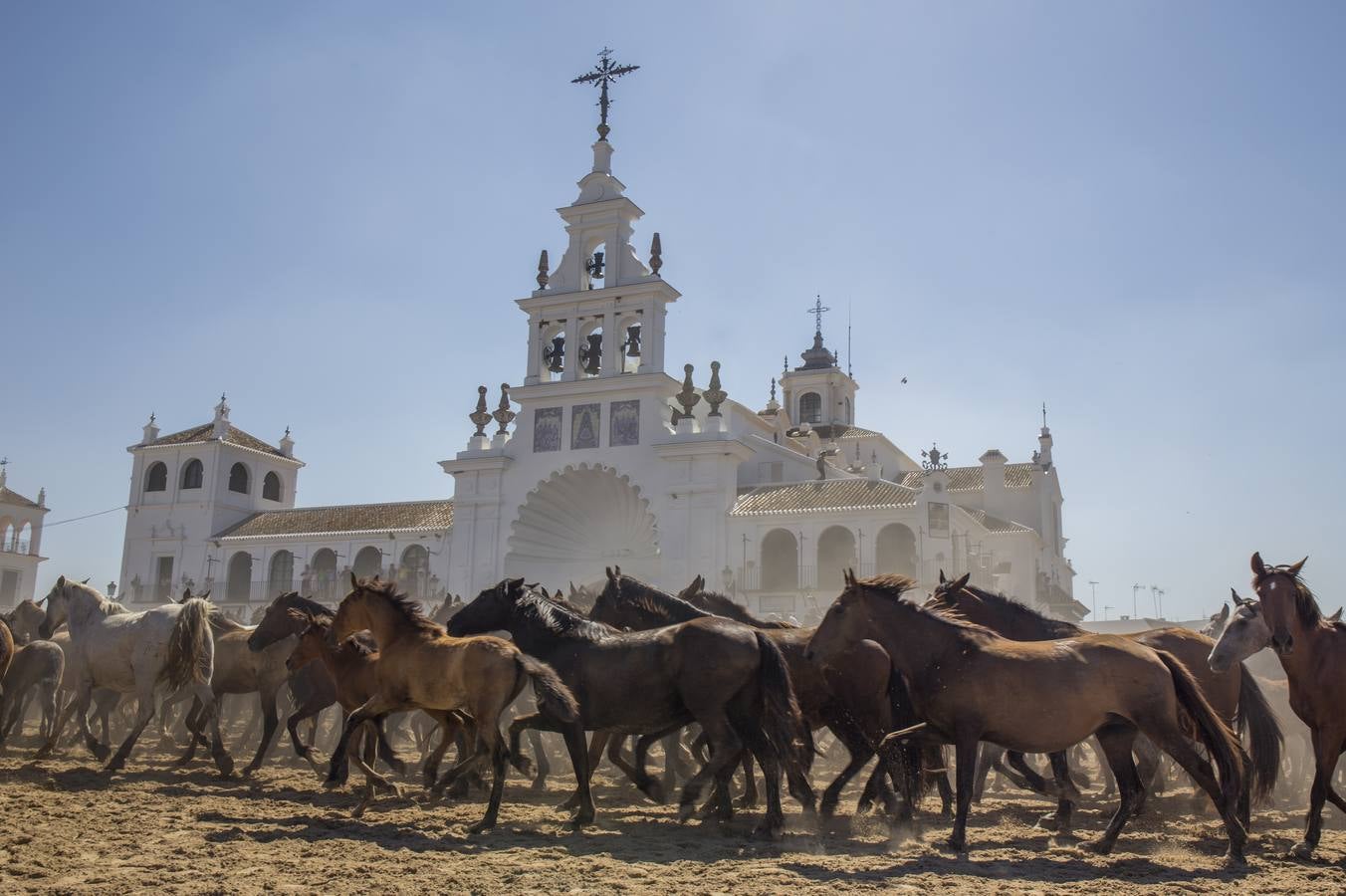 La Saca de las Yeguas en 2014