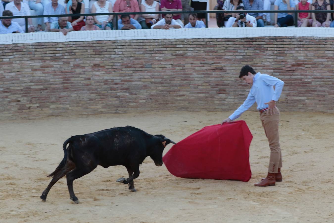 Homenaje a Pepe Luis Vázquez