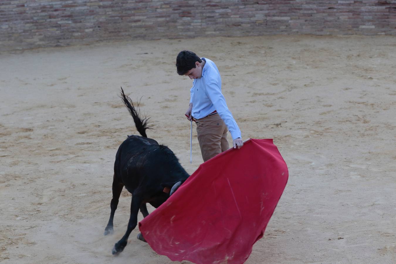 Homenaje a Pepe Luis Vázquez