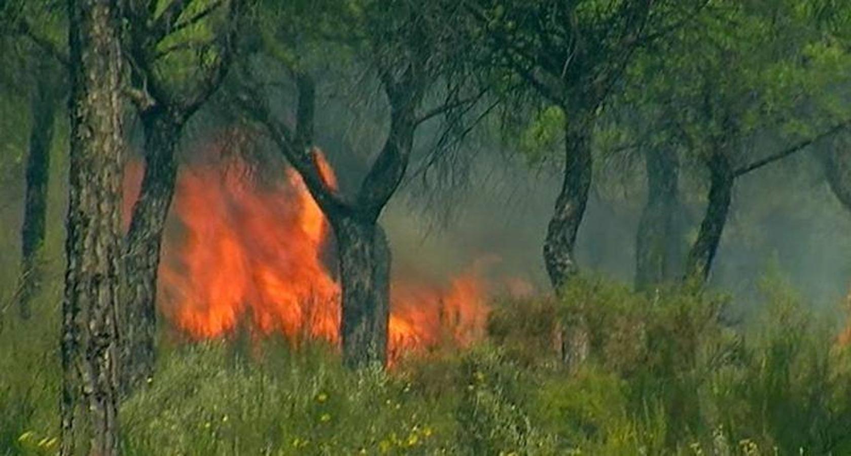 Las imágenes del incendio que amenazan con arrasar Doñana