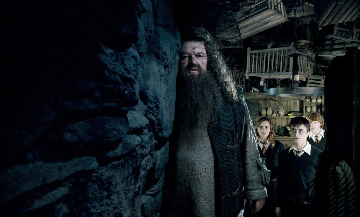 Un mitad gigante como «guardaespaldas». Por suerte, Harry Potter también tendrá a Rubeus Hagrid para aconsejarle y guiarle