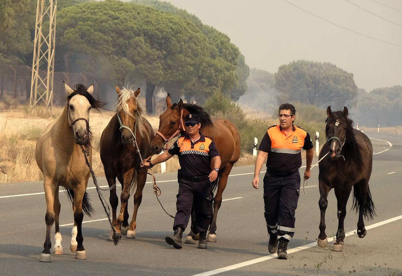 El drama de los campistas acechados por las llamas