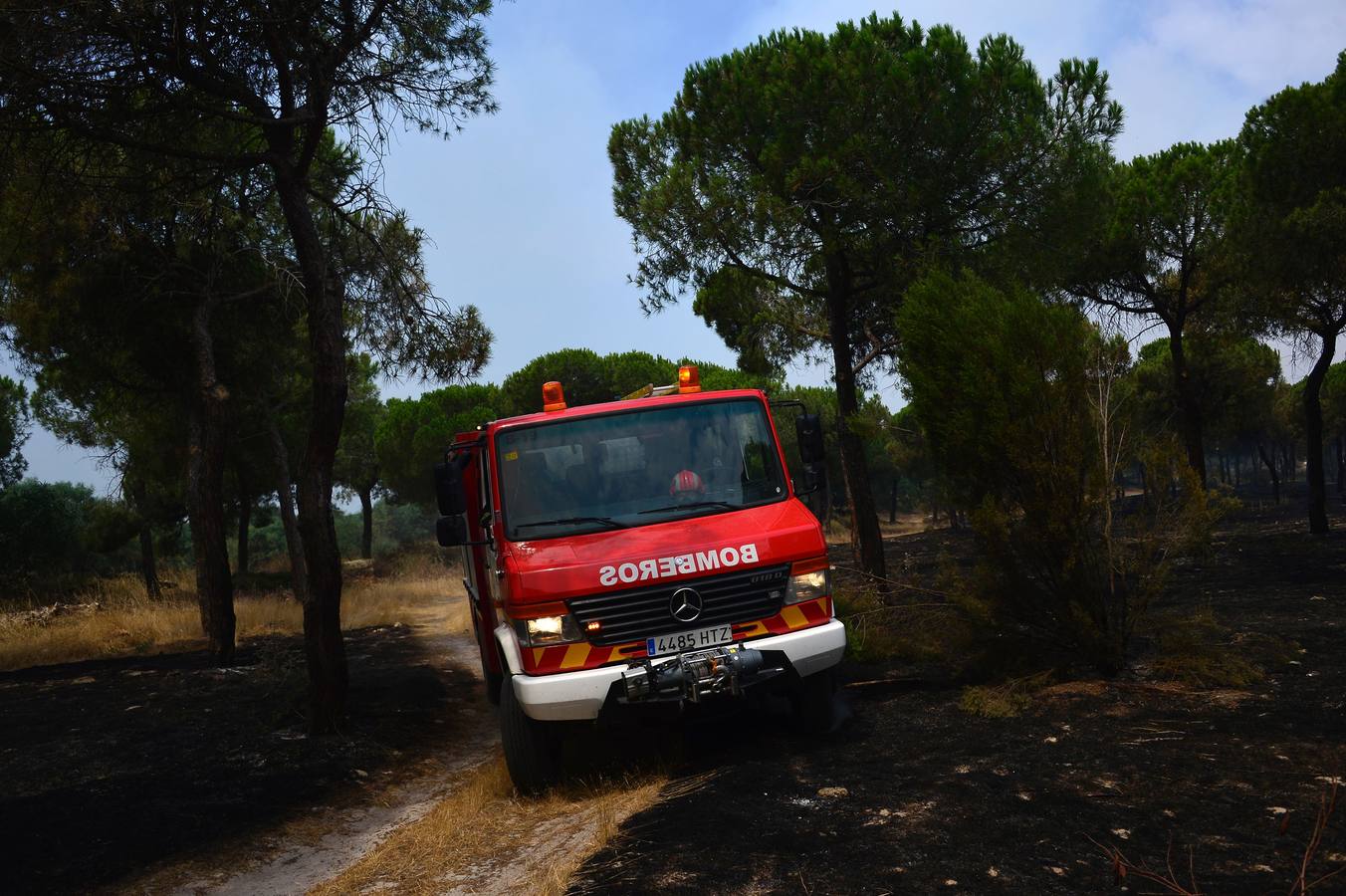 Las labores de extinción y lucha contra el incendio de Doñana, en imágenes