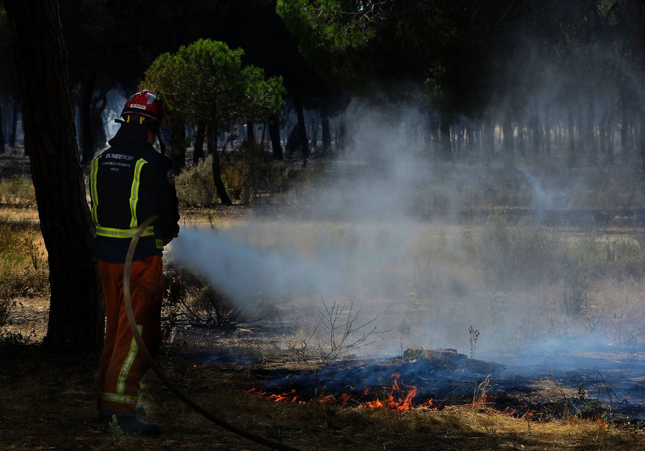 Las labores de extinción y lucha contra el incendio de Doñana, en imágenes