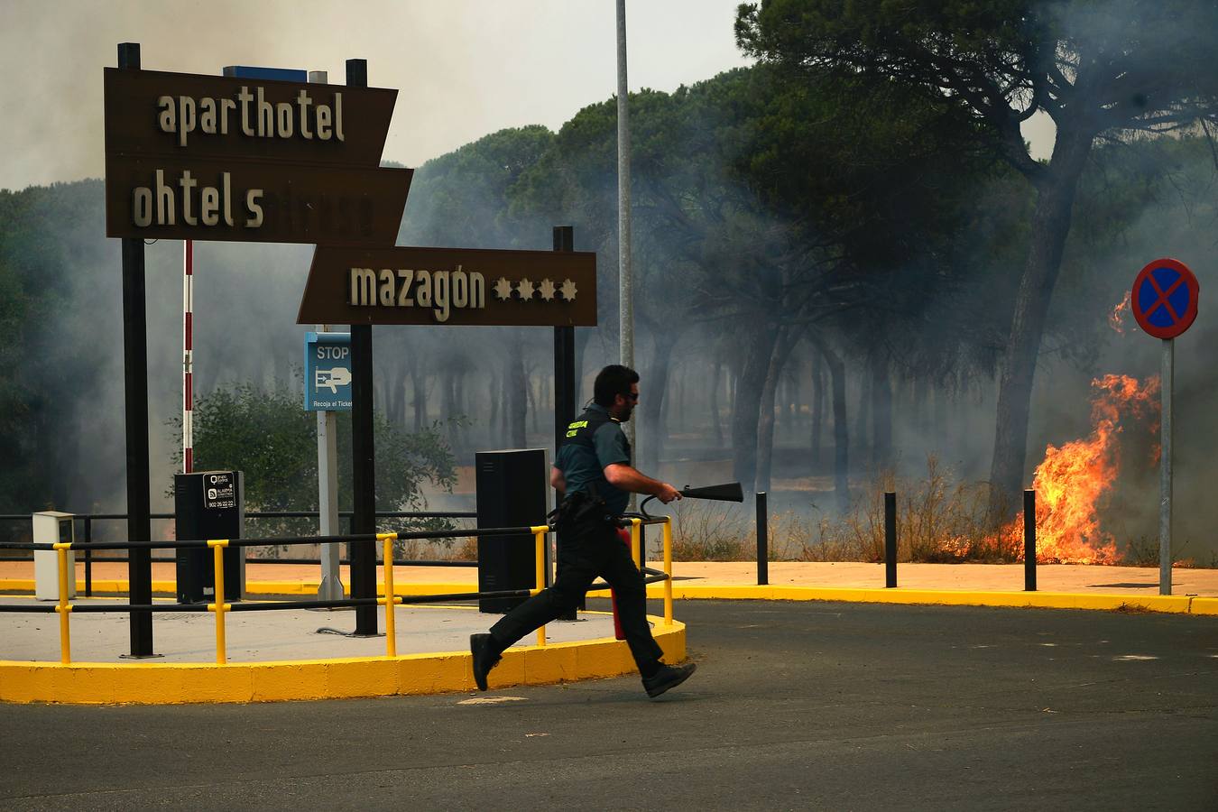 Las labores de extinción y lucha contra el incendio de Doñana, en imágenes