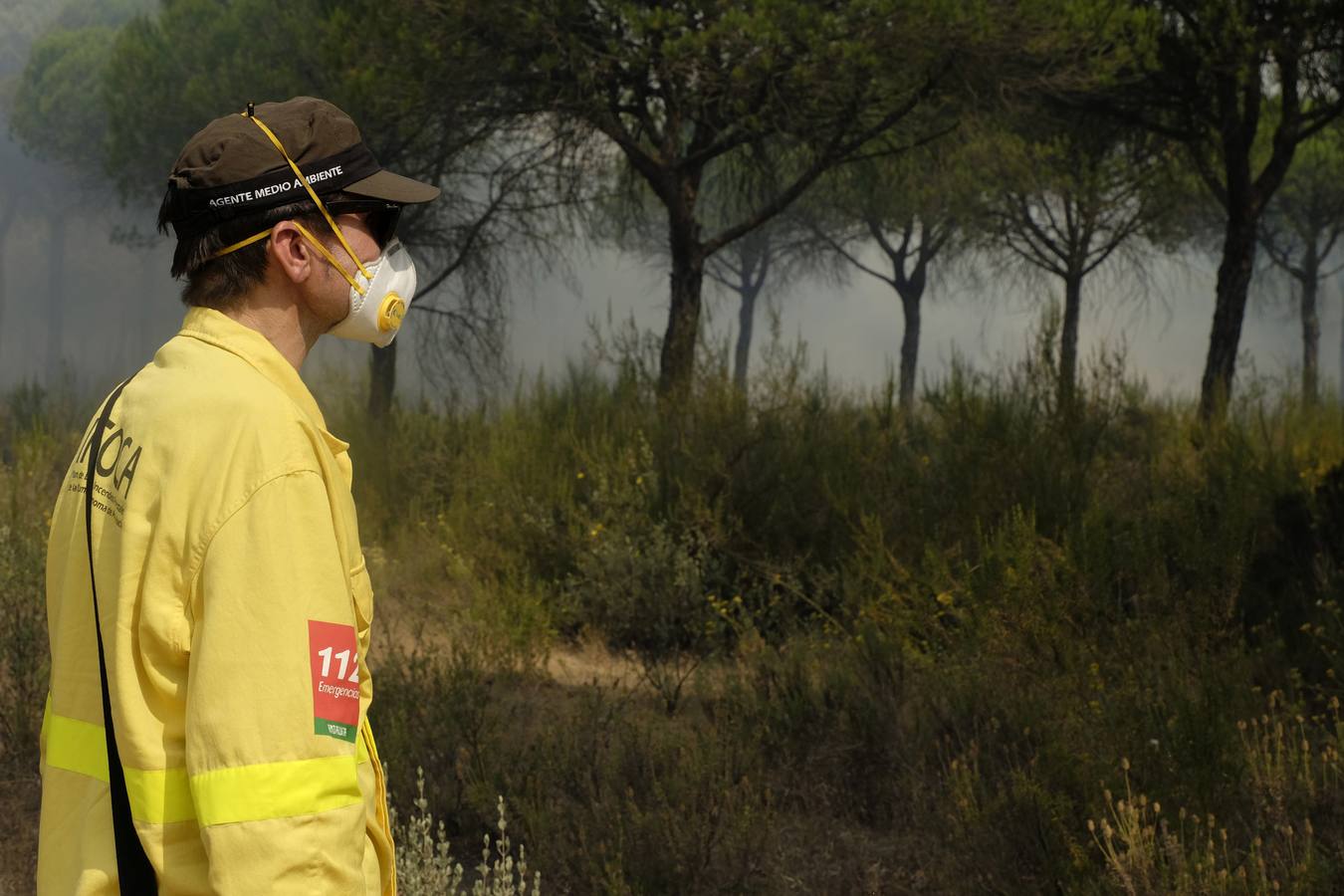 Las labores de extinción y lucha contra el incendio de Doñana, en imágenes