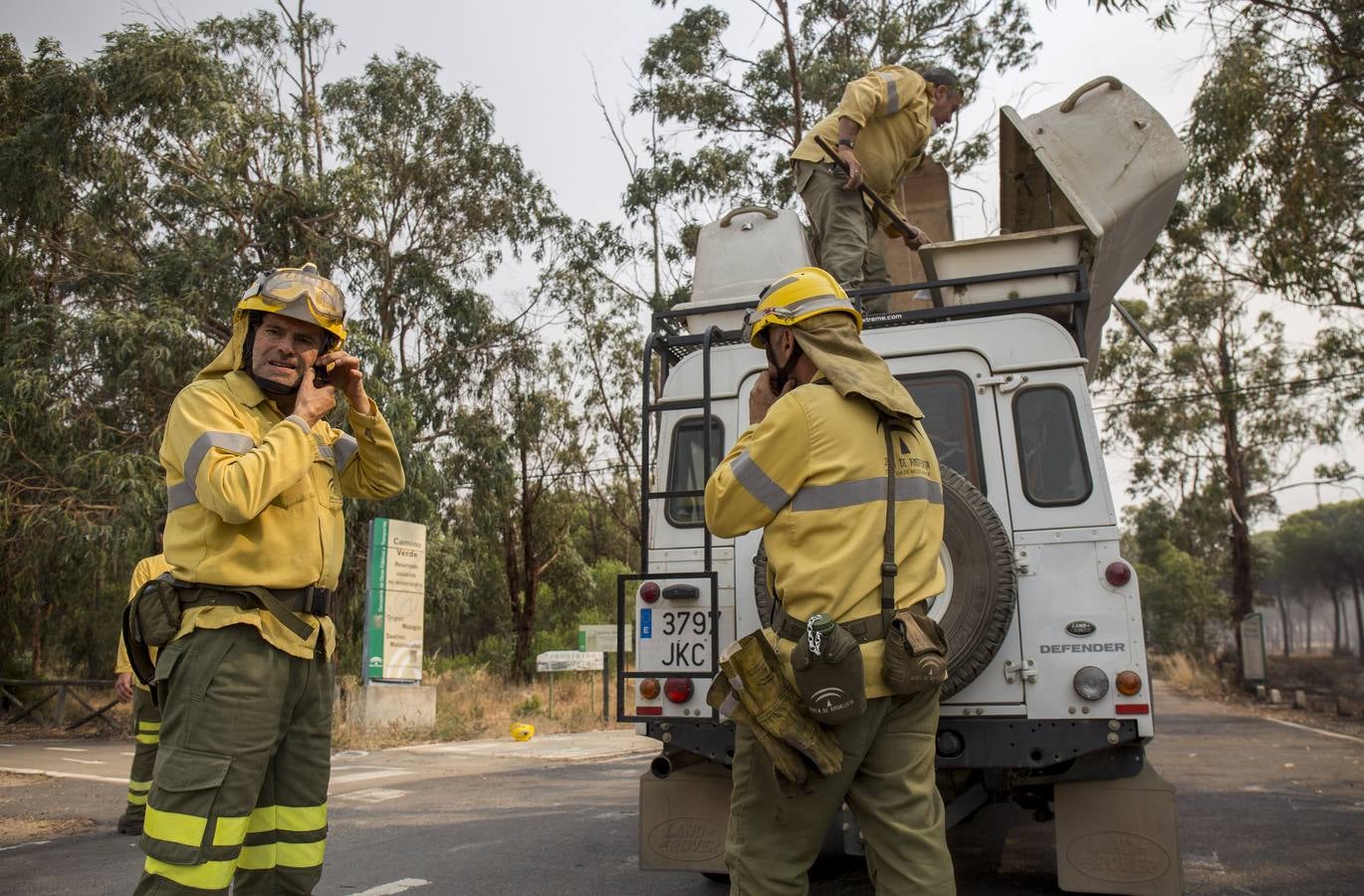 Las labores de extinción y lucha contra el incendio de Doñana, en imágenes