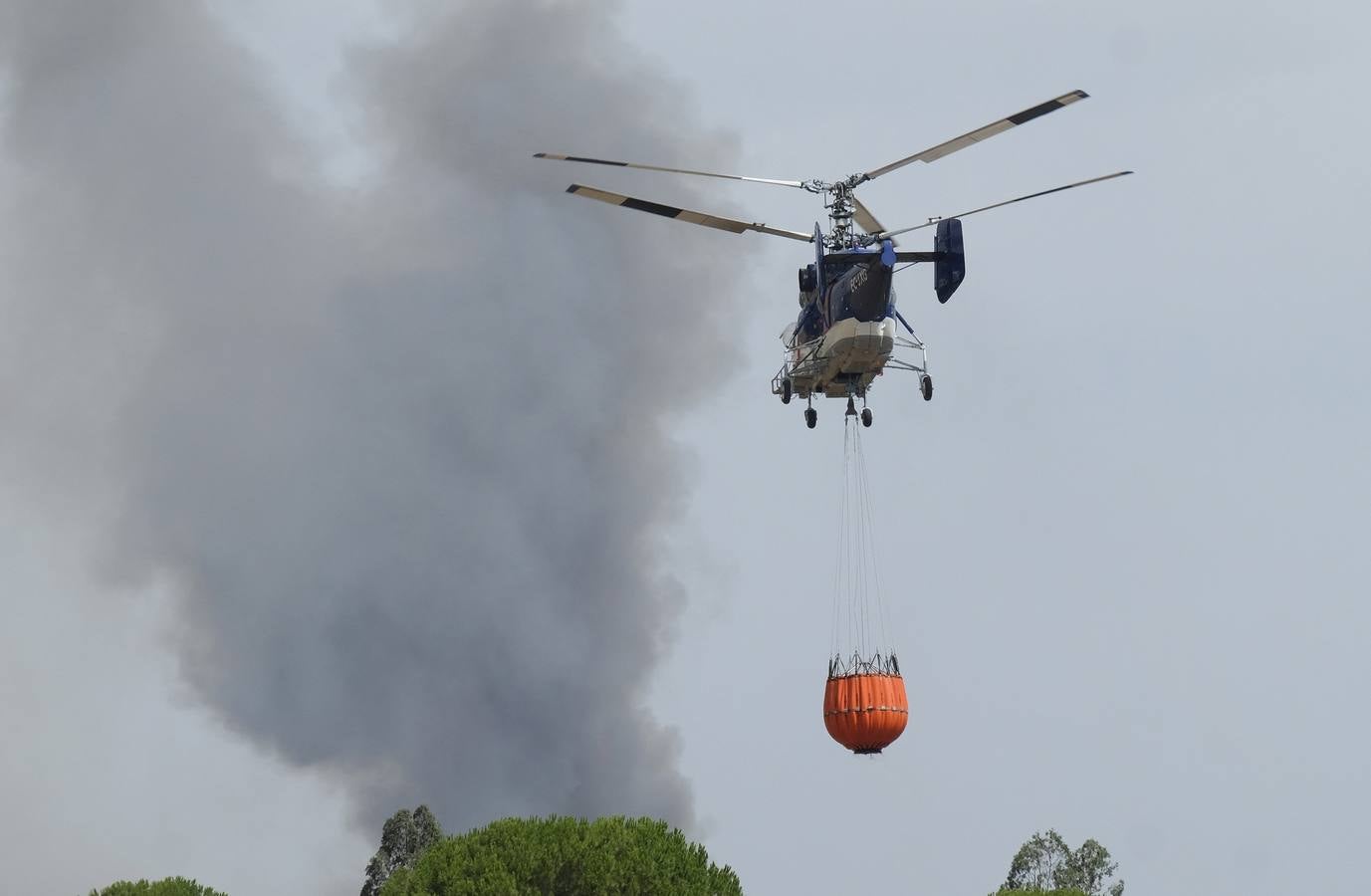 Las labores de extinción y lucha contra el incendio de Doñana, en imágenes