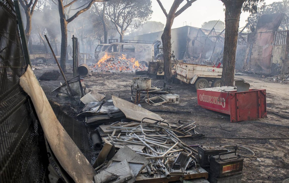 Los estragos del incendio en Doñana, en imágenes
