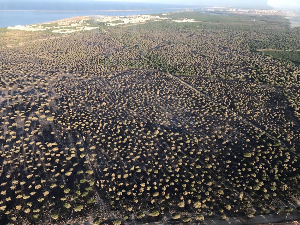 Fotografía aéreas del incendio que ha afectado al perímetro del Parque Nacional de Doñana, entre las localidades de Mazagón y Matalascañas