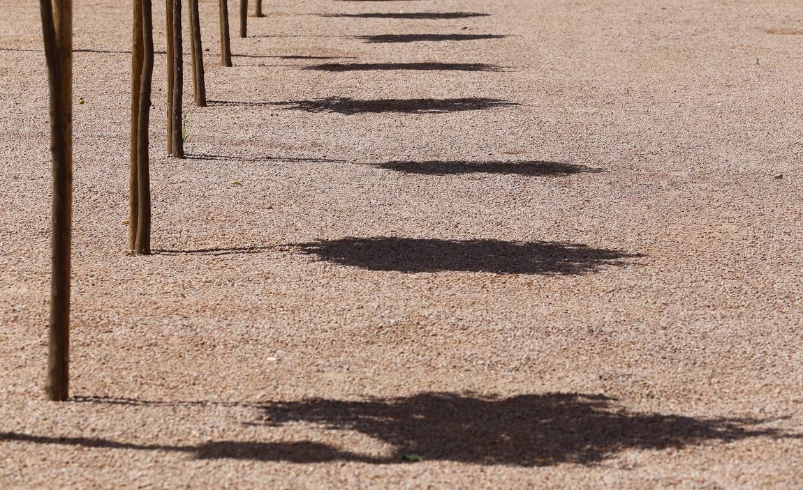 Un paseo en imágenes por el C3A